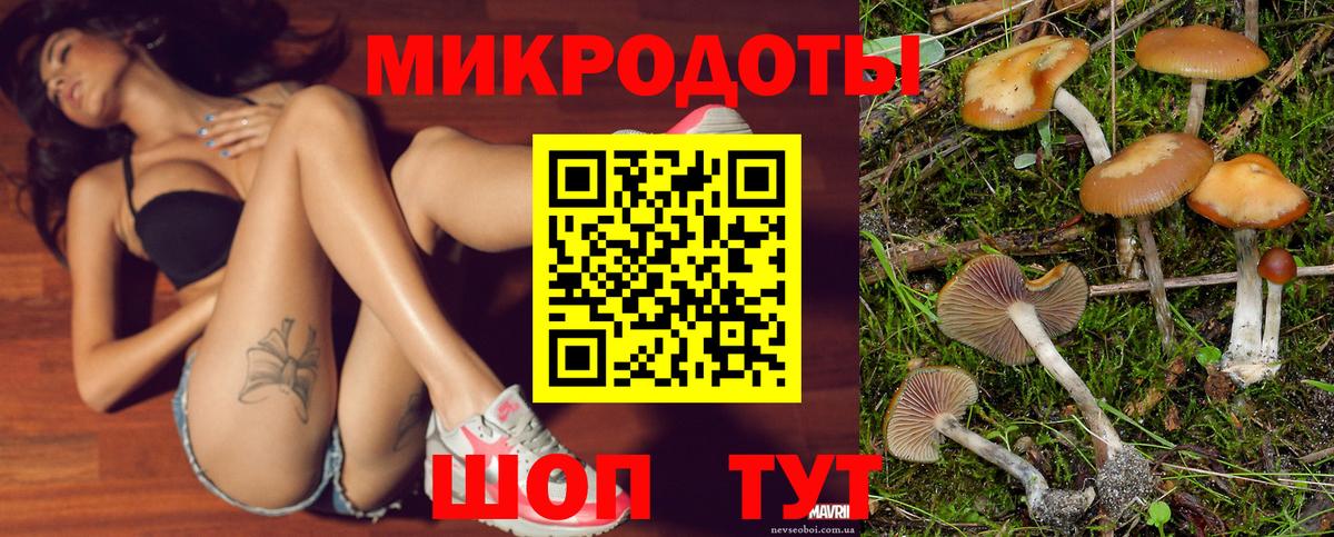 Галлюциногенные грибы ЛСД Дивногорск